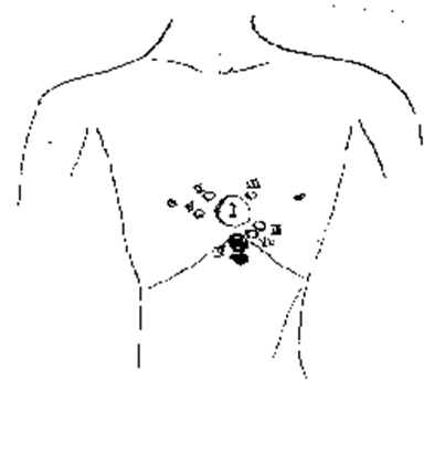 image-20250629205818890